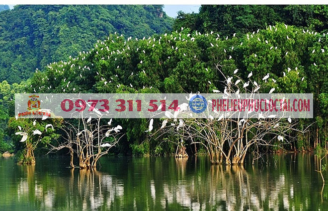 Lợi ích của việc thu gom kim loại phế liệu thương mại 